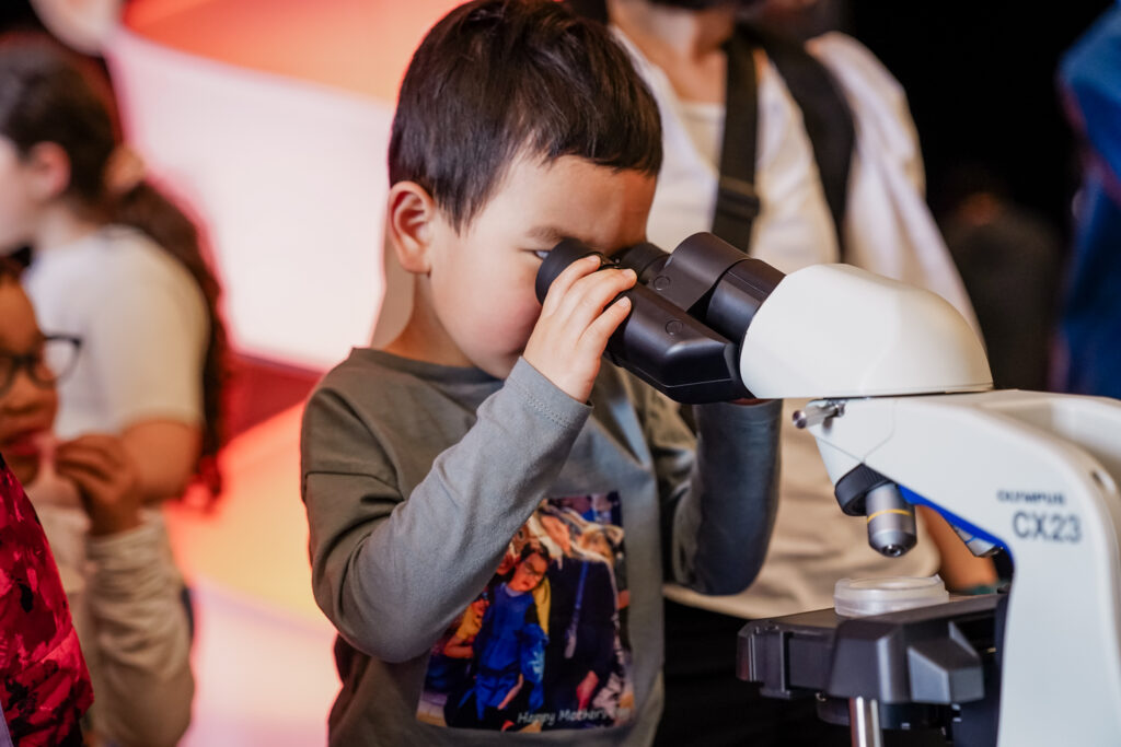 Explorations microscopiques : le monde extraordinaire de la microscopie du vivant